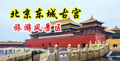 无套直插空姐中国北京-东城古宫旅游风景区